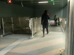-平乐园(地铁站)