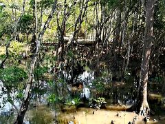 -东寨港红树林旅游区