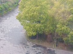 -同济大学附属口腔医院