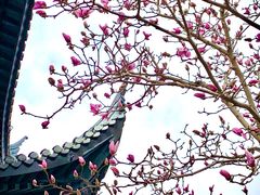 -上海皇廷花园酒店·西餐厅·自助餐