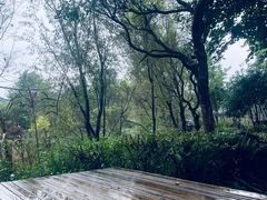 -和顺柏联温泉