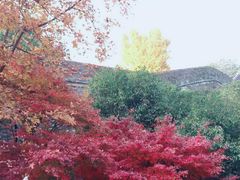 -虞山风景区
