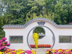 -上海共青森林公园