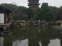 -常熟方塔园