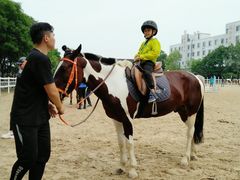 -大连凯洋马术俱乐部有限公司