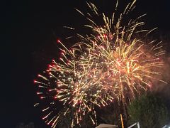 -五谷芳乳鸽王(海景店)