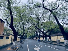 -颐和路民国时期公馆风貌区