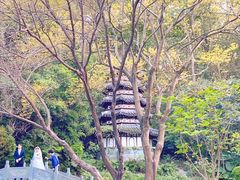 -深圳国际园林花卉博览园