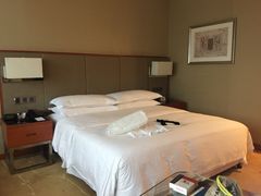 -成都天府丽都喜来登饭店