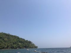 -真浪花园海鲜餐馆