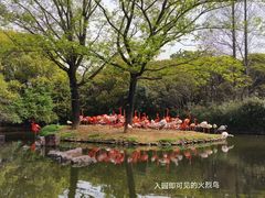 -上海野生动物园