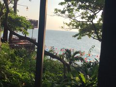 -卷心菜和避孕套餐厅(Pattaya)