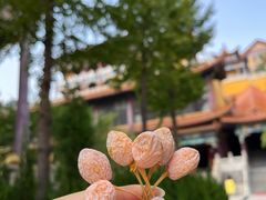 -正觉寺
