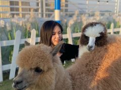 -Blue Concept Cafe&Farm·關於藍