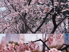 -静安雕塑公园