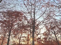 -厦门园林博览苑