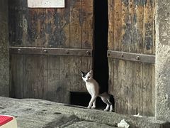 -胡仁根胡记炸炸炸