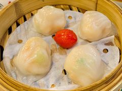 金牌虾饺皇-点都德(北京路贰店)