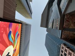 -Big Bus Tours 敞篷观光巴士