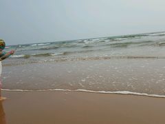 -日照海滨国家森林公园