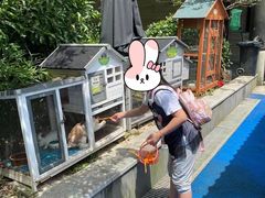 -上海崇明金茂凯悦酒店