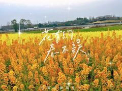 -三圣花乡旅游区