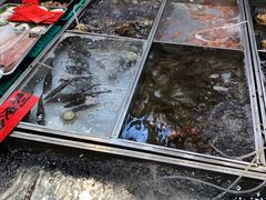 水产区-湛江渔港·大排档(乐园路总店)
