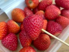 -酸品王(埌西市场店)