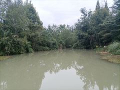 -桤木河湿地公园