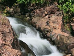 -广州白江湖森林公园