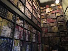 -哈利波特魔法世界