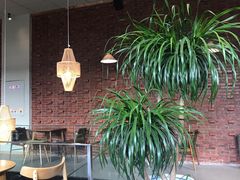 -源本清茶(顺城购物中心店)