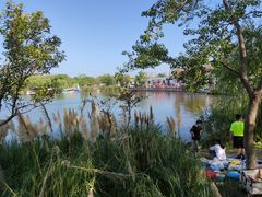 -上海长兴岛郊野公园