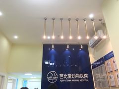 -芭比堂动物医院广州顽皮分院