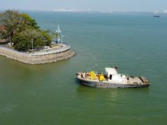 -大湾区中央湿地公园