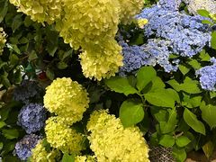 -花二家·生活馆(六运小区店)