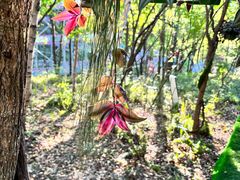 -帽儿山国家森林公园