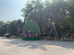 -呀路古热带植物园