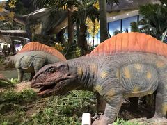 -湖南省地质博物馆