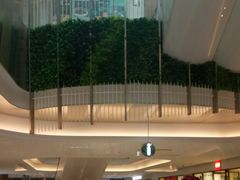 -白玉兰广场停车场