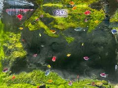-苏州海洋馆