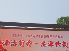 -天津水上公园