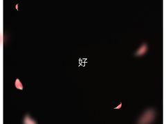 -达旺·鸡毛店(巴南万达店)