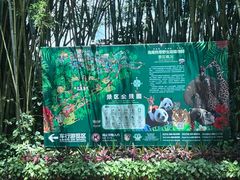 -海南热带野生动植物园