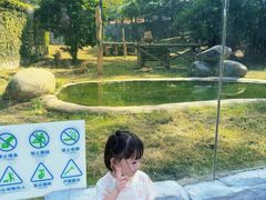 -泉州海丝野生动物世界