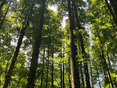 -山王坪喀斯特国家生态公园