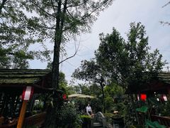 -青城甲(青城山店)