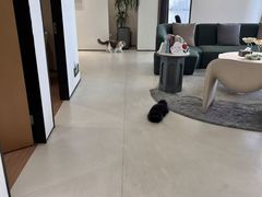 -争渡心理咨询全国连锁(福田店)