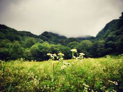 -终南山国家森林公园