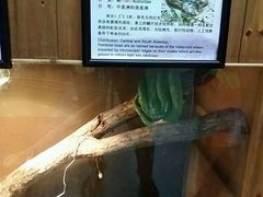 android_upload_pic-上海大自然野生昆虫馆